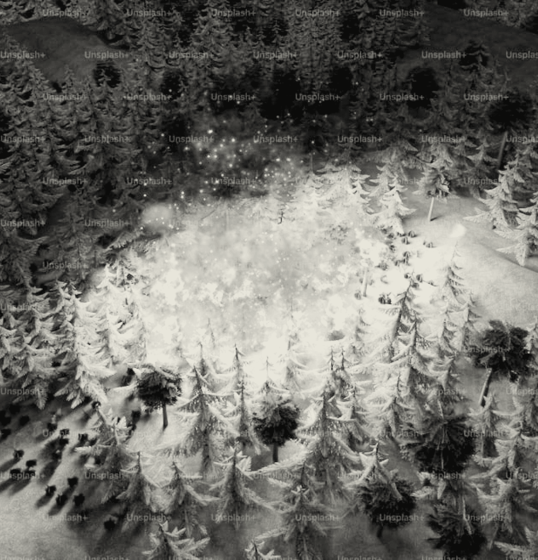 Aerial of a forest at dusk with embers rising — physics-based wildfire simulation.
