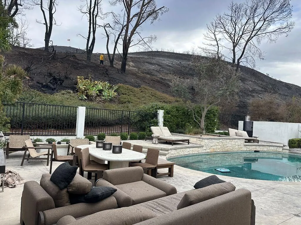 A backyard patio and pool, untouched, below a blackened hillside that burned down to the fence line.